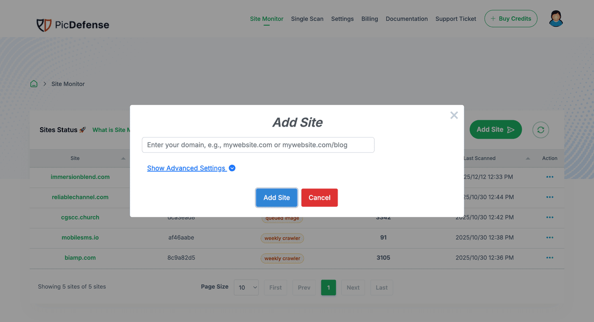 PicDefense site monitoring step 1: Add your website URL to begin the baseline scan and configure monitoring