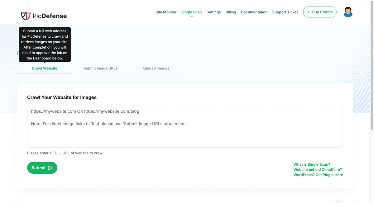 Step 1 - Enter Your Domain PicDefense step 1: Enter your website domain to begin the deep-crawl image inventory process